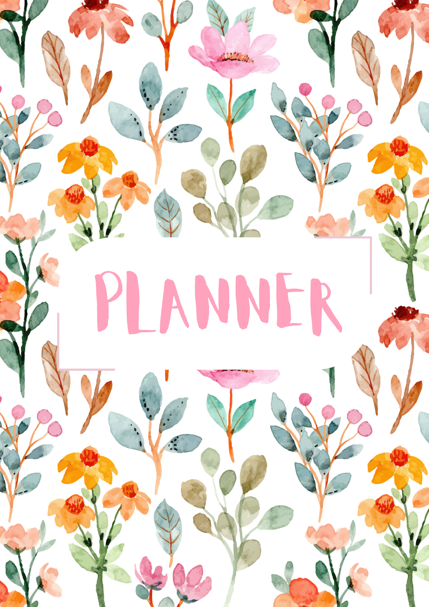 Planer 1