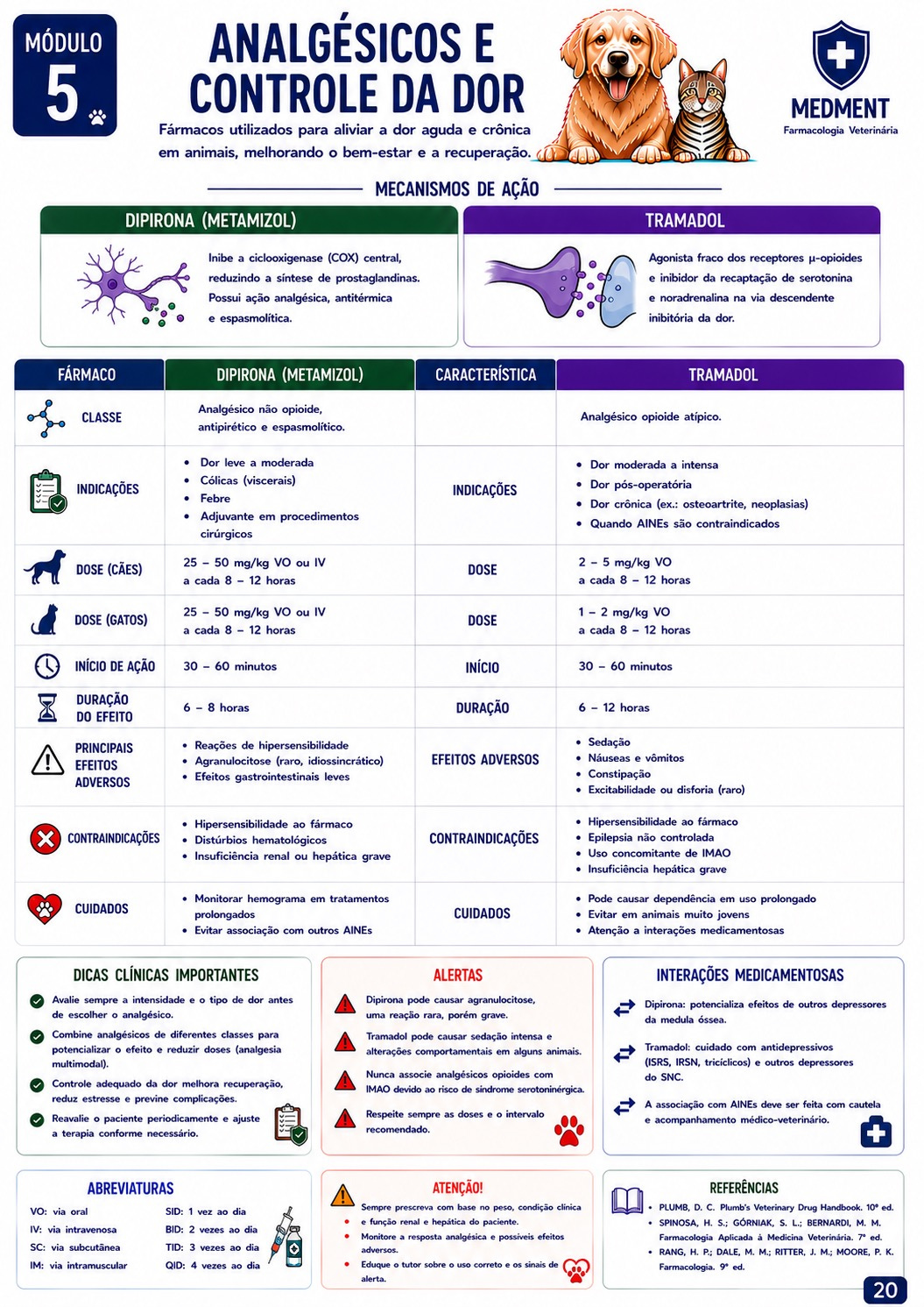 Analgésicos e controle da dor
