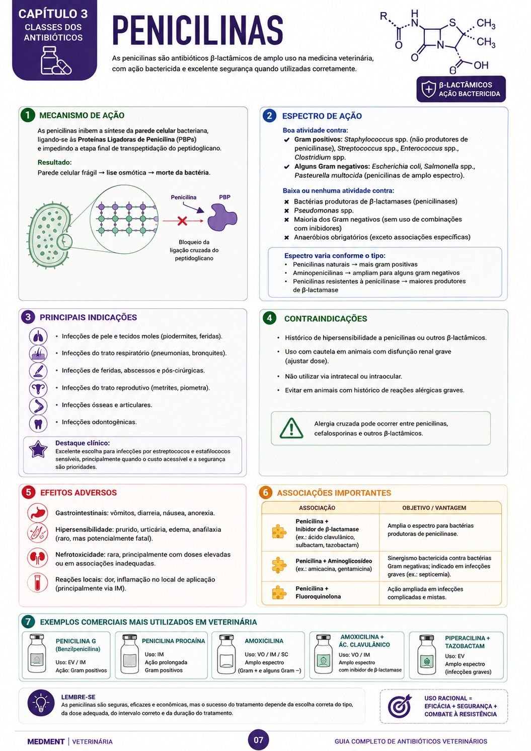 Antibioticoterapia Veterinária