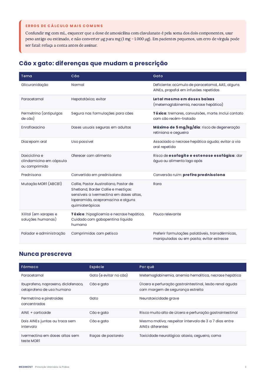 Diferenças entre cão e gato