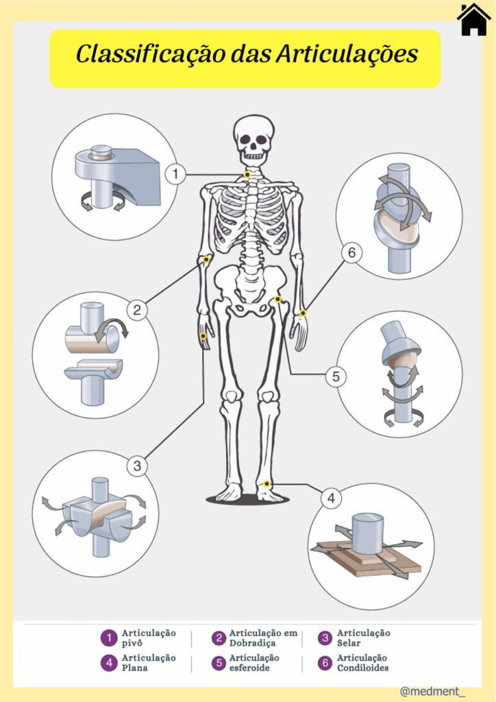 Anatomia+e+Fisiologia.pdf (2)