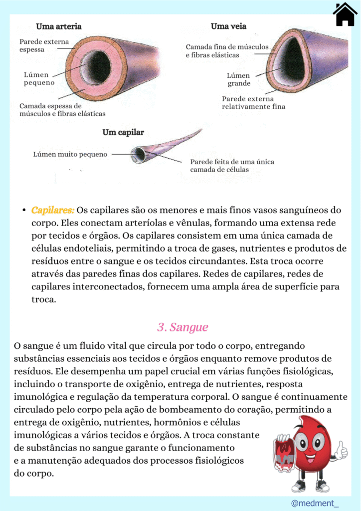 Anatomia+e+Fisiologia.pdf (4)