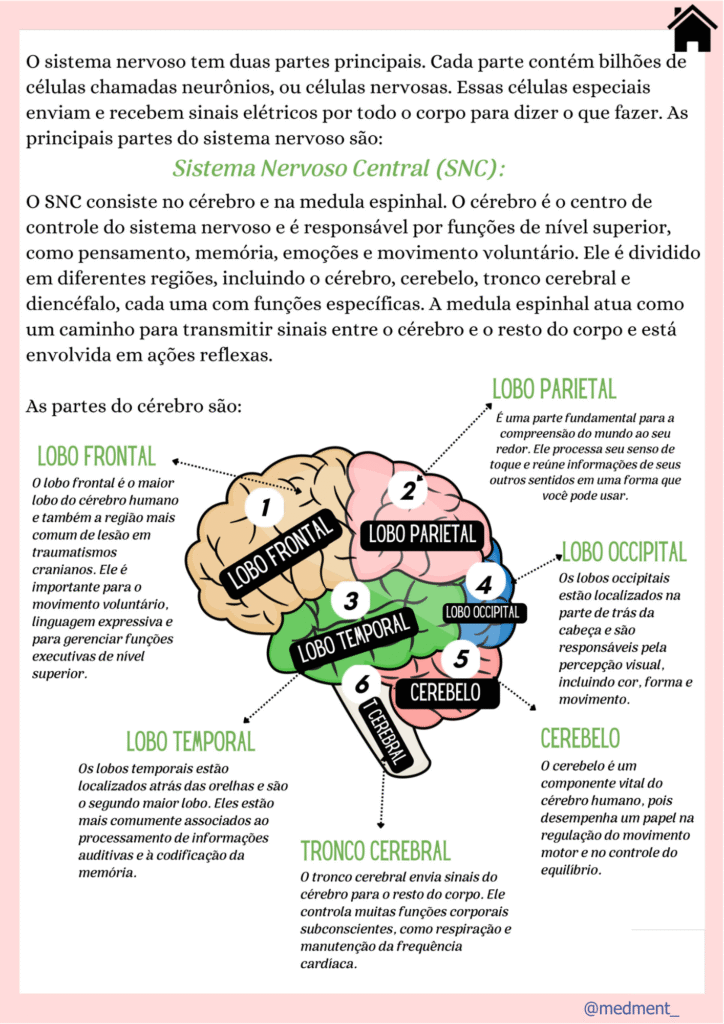 Anatomia+e+Fisiologia.pdf (6)